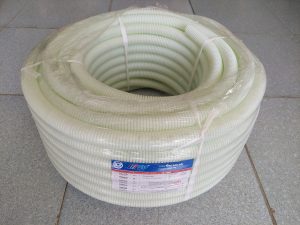 Ruột Gà Phi 16